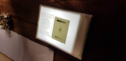 Original Sersic plate